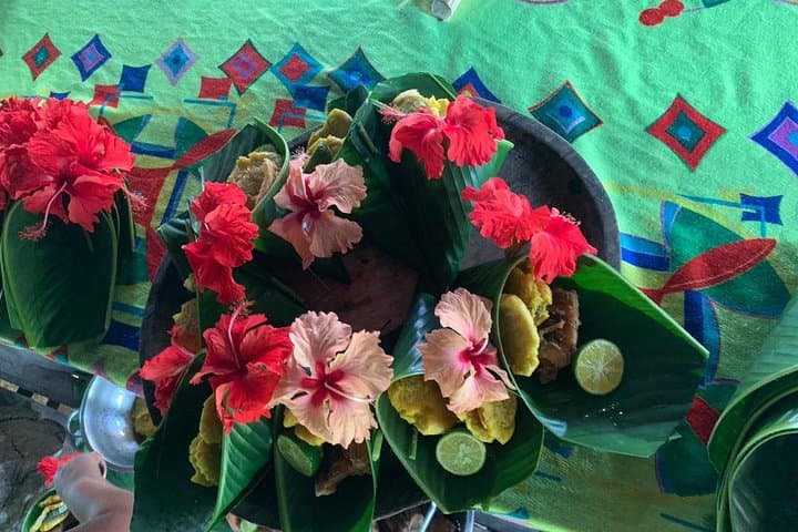 Embera Eco Tour: Indigenous Village Experience & Waterfall Swim from Panama City photo 3