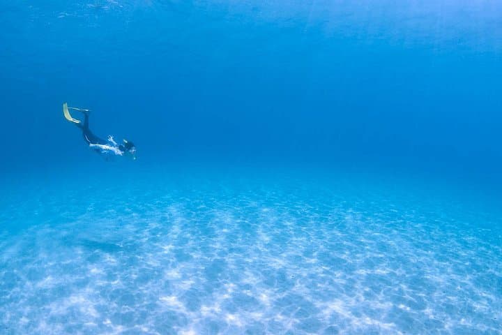 Snorkel with Sea Turtles at Nagata, Yakushima — Guided Snorkeling Tour