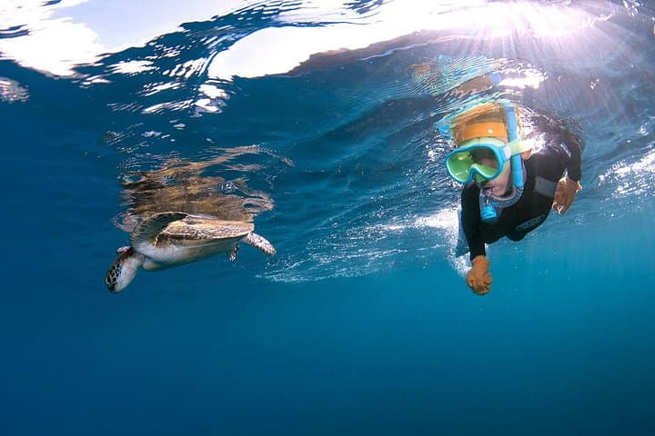 Snorkel with Sea Turtles at Nagata, Yakushima — Guided Snorkeling Tour photo 2
