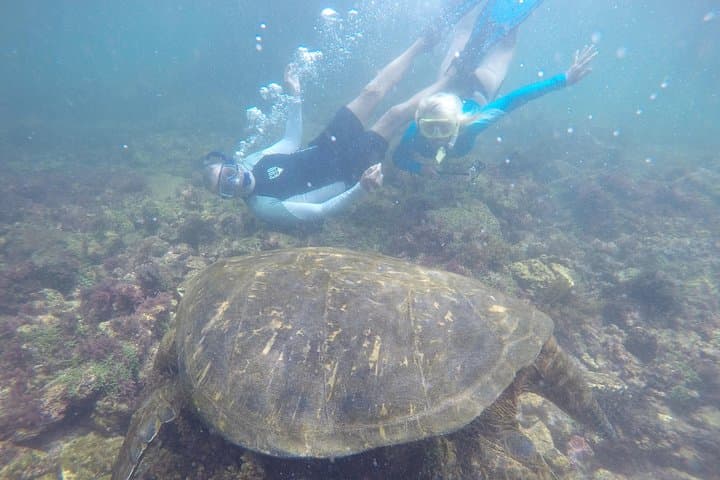 5-Day Galapagos Diving & Hiking Adventure from Puerto Ayora