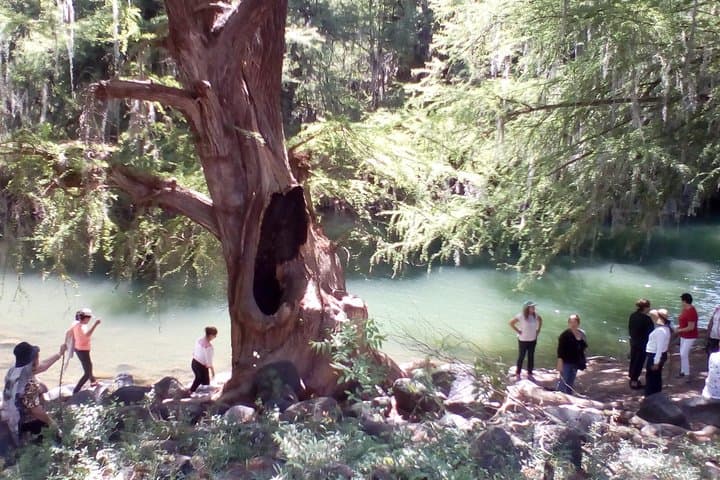 Exploring the Malpais: Waterfalls, Orchards, and the Camino Real in Durango
