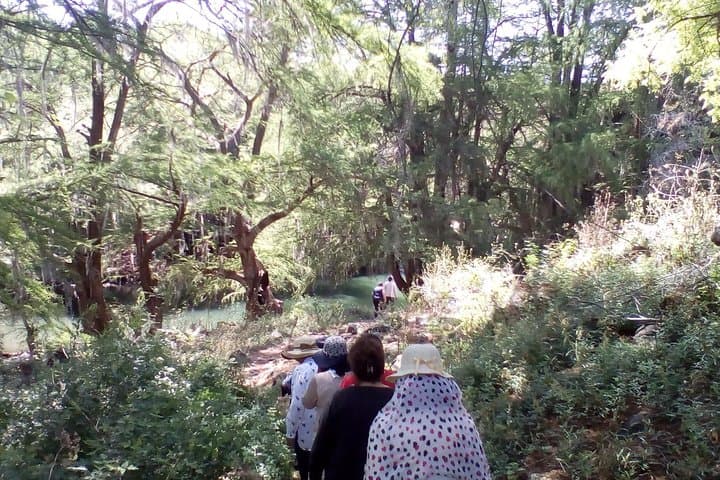 Exploring the Malpais: Waterfalls, Orchards, and the Camino Real in Durango photo 3