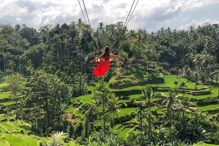 Ubud Day Tour: Monkey Forest, Jungle Swing, Rice Terraces & Tirta Empul photo 3