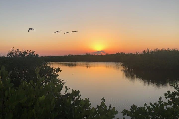 Cocoa Beach Sunset Bioluminescent Kayak Tour — Night Paddle Through Glowing Waters photo 5