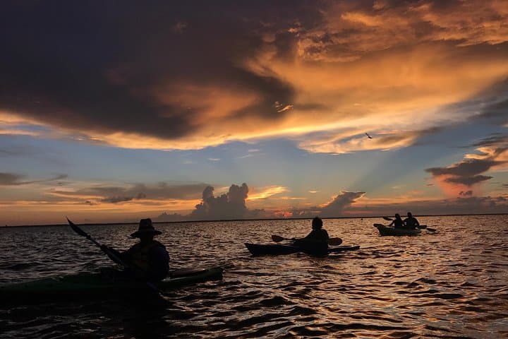 Cocoa Beach Sunset Bioluminescent Kayak Tour — Night Paddle Through Glowing Waters photo 2