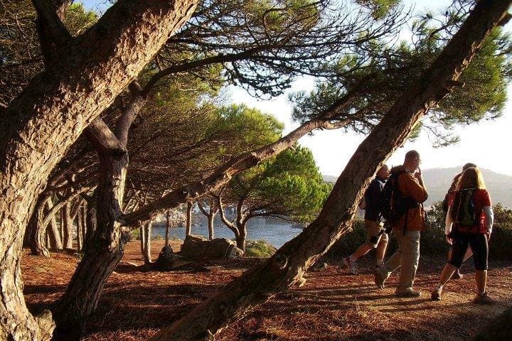 Costa Brava Small-Group Coastal Hike from Barcelona: Camí de Ronda & Hidden Coves photo 3
