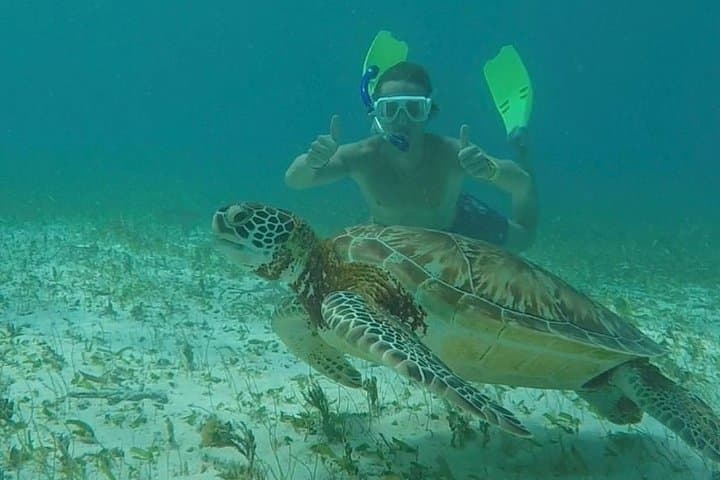 Hol Chan Full-Day Snorkel: Sharks, Rays, Turtles & Hol Chan Reserve photo 2