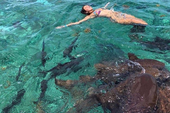 Hol Chan Full-Day Snorkel: Sharks, Rays, Turtles & Hol Chan Reserve photo 4