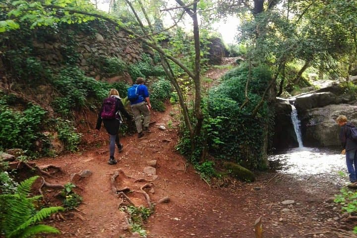 Montseny Guided Hiking Tour from Barcelona — UNESCO Trails and Organic Lunch