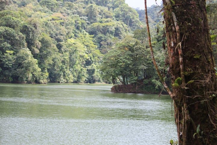 Arenal Volcano ATV Adventure: Ride to Lava Flows, Tabacon Lagoon & Hot Springs photo 3