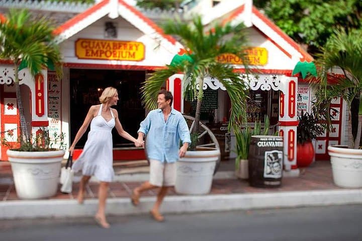 St. Maarten Best Island Tour: Full-Day Highlights, Beaches & Maho Plane Watching photo 3