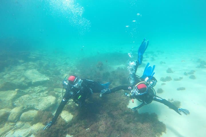 Strait Natural Park Beginner Scuba Dive from Tarifa photo 3