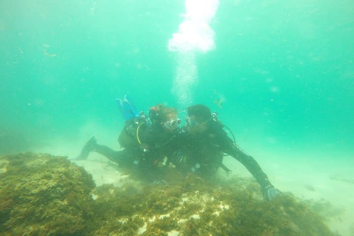 Strait Natural Park Beginner Scuba Dive from Tarifa photo 4