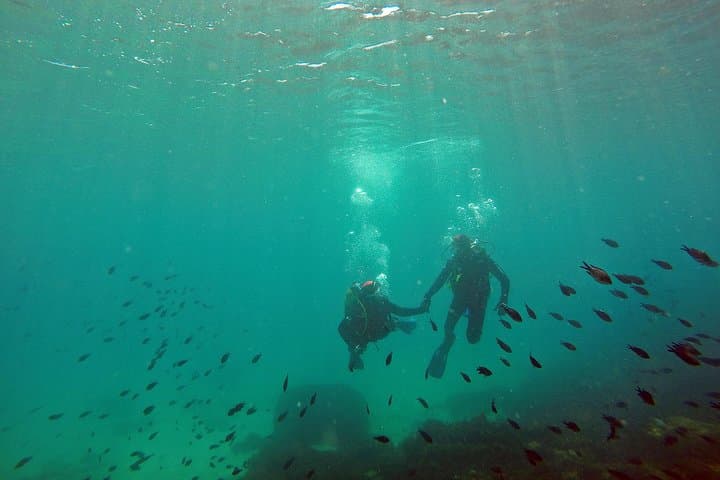 Strait Natural Park Beginner Scuba Dive from Tarifa