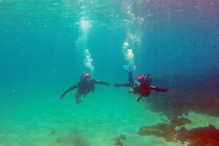 Strait Natural Park Beginner Scuba Dive from Tarifa photo 6