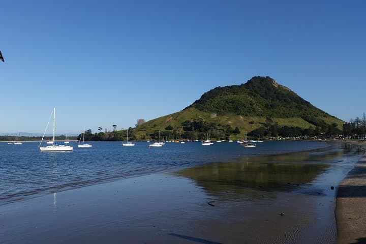 Private Rotorua Shore Excursion: Custom 6-Hour Tour from Tauranga Port photo 3
