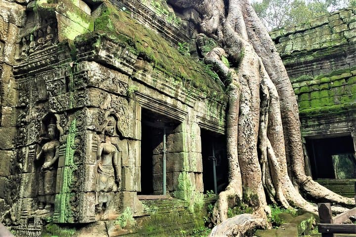 Private Angkor Wat Temple Tour from Siem Reap — Angkor Wat, Angkor Thom, Ta Prohm & Banteay Srei photo 5