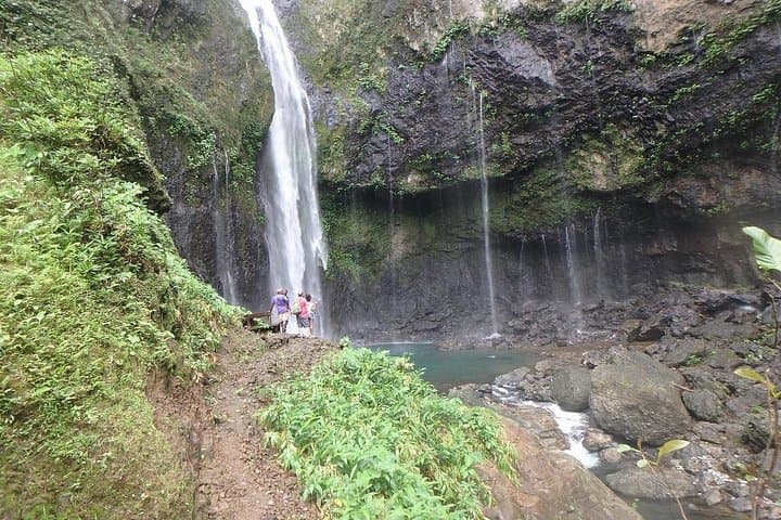 Nabalasere Waterfall Tour: Day Trip from Nadi to Rakiraki’s 70m Falls photo 4