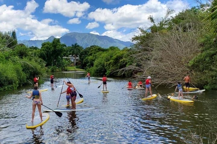 Private Oahu Island Tour with Turtle Beach Snorkeling and Custom Stops photo 3