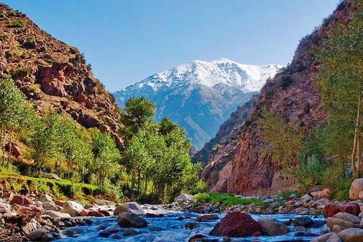 Half-Day Atlas Mountains & Ourika Valley Trek from Marrakech photo 2