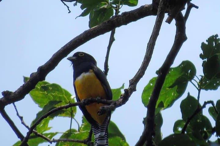 Atitlán Hiking & Birding: Los Tarrales Day Tour from Antigua photo 2