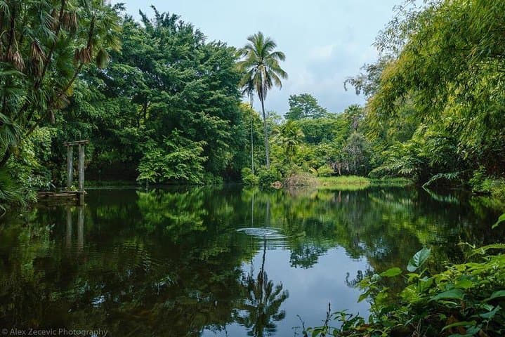 Atitlán Hiking & Birding: Los Tarrales Day Tour from Antigua photo 6