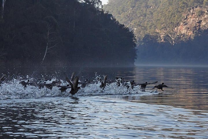 Nepean Gorge Wilderness Kayak Adventure with Gourmet Lunch — Sydney Day Trip photo 2