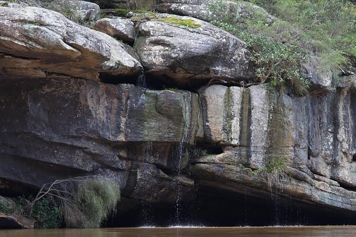 Nepean Gorge Wilderness Kayak Adventure with Gourmet Lunch — Sydney Day Trip photo 3