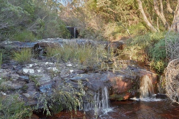Nepean Gorge Wilderness Kayak Adventure with Gourmet Lunch — Sydney Day Trip photo 4