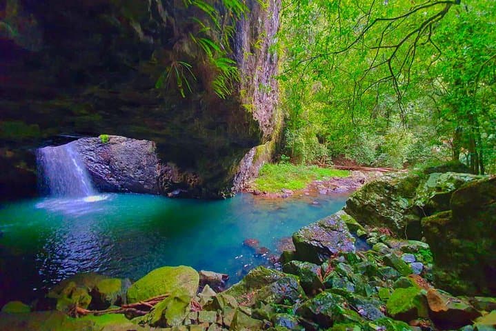 Private Gondwana Rainforest & Waterfalls Tour from Gold Coast photo 6