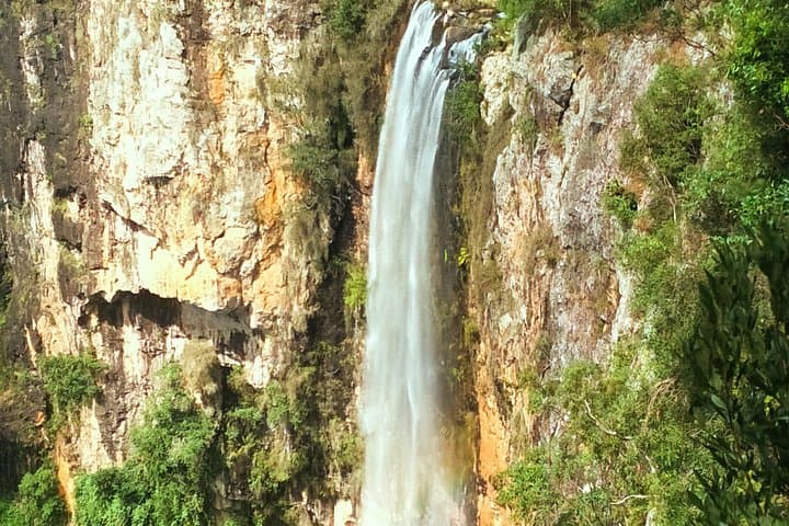 Private Gondwana Rainforest & Waterfalls Tour from Gold Coast photo 3