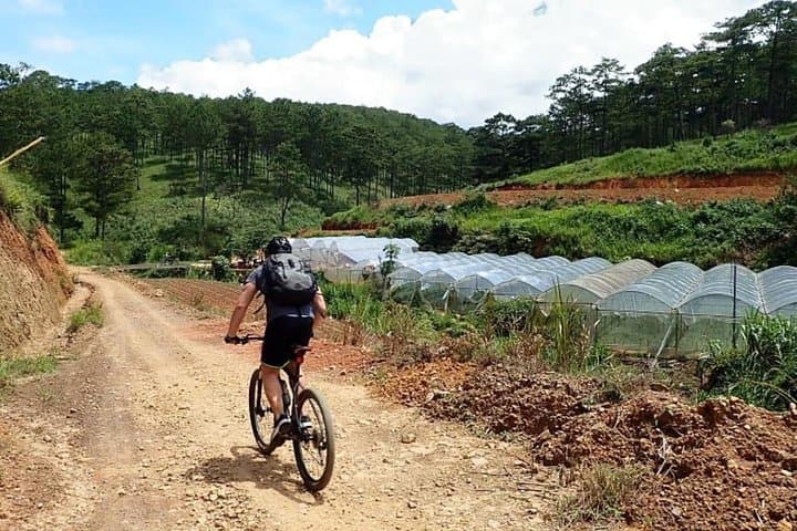 Crazy 8 Mountain Bike Tour from Da Lat — 37km Pine-Forest Singletrack Adventure photo 5