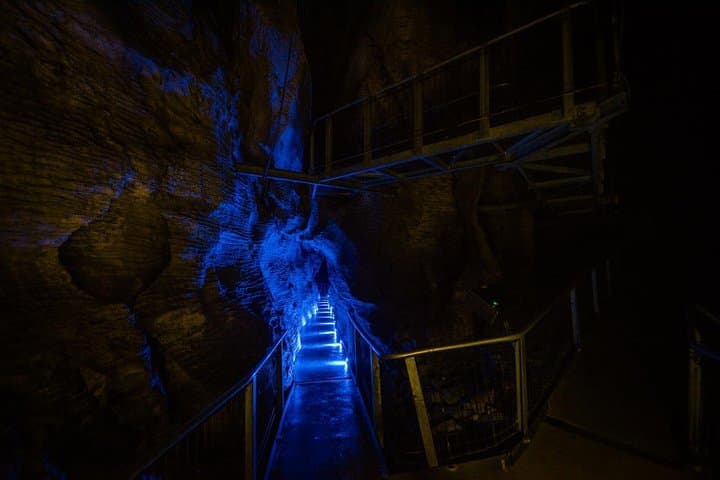 Beneath the Waikato: Waitomo Glowworm & Ruakuri Twin Cave Day Tour From Auckland photo 2