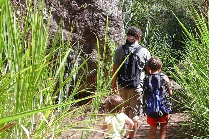 Gran Canaria Private Walks — Custom Hiking & Cultural Tours in Mogán photo 2