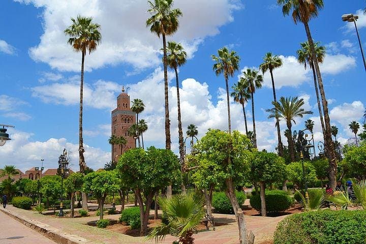 Private Transfer From Fez to Marrakech — Comfortable 6-Hour Drive with English‑French Driver photo 3
