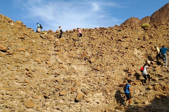 Explore Hatta: Heritage Village, Hatta Dam & Honey Farm Half-Day Tour photo 5