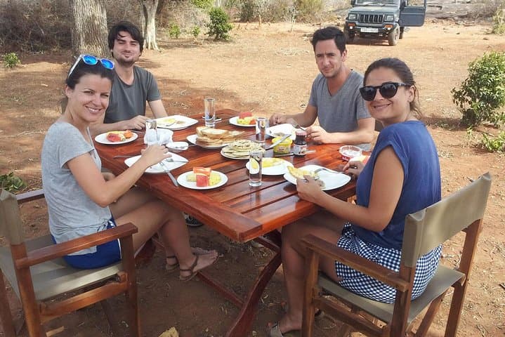 Full-Day Yala Safari from Hambantota Harbour — Leopard Watching & Picnic Lunch photo 2