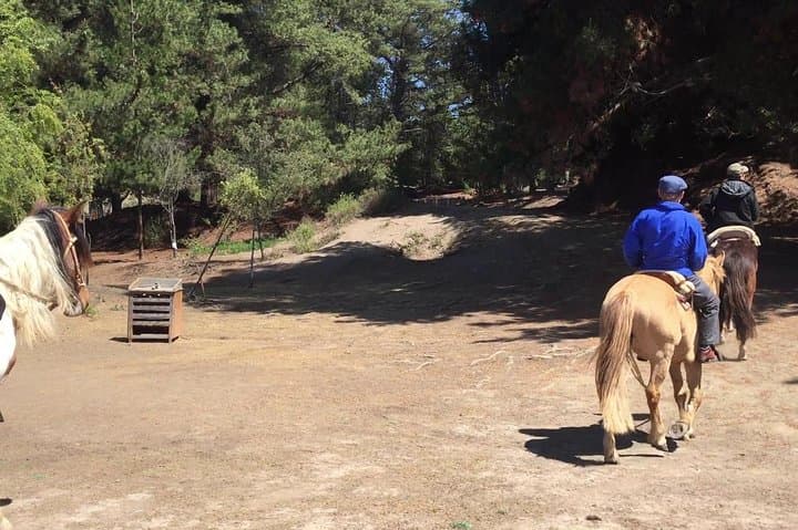 Ritoque Dunes Horseback Ride and Chilean BBQ from Valparaíso photo 2