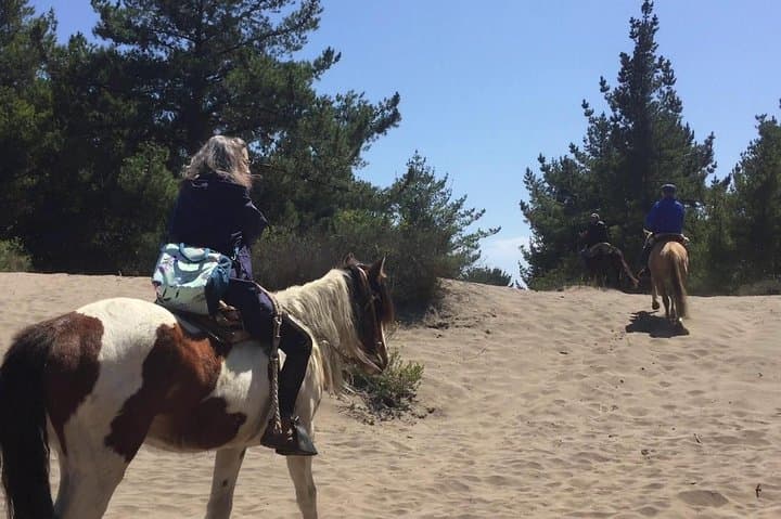 Ritoque Dunes Horseback Ride and Chilean BBQ from Valparaíso