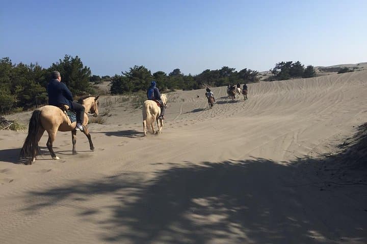 Ritoque Dunes Horseback Ride and Chilean BBQ from Valparaíso photo 5
