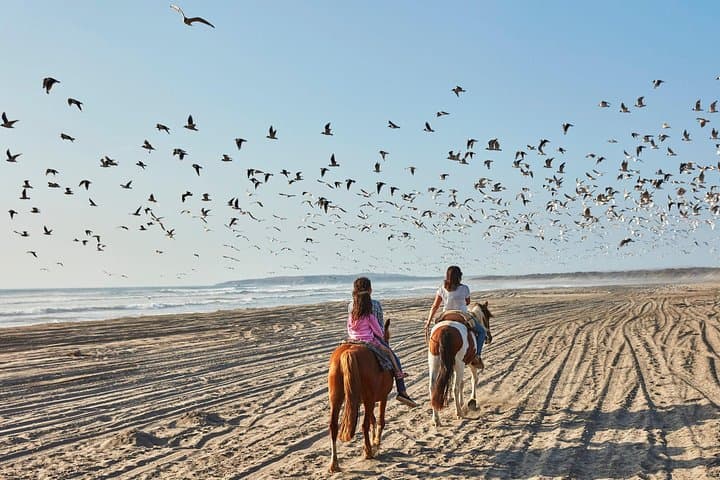 Ritoque Dunes Horseback Ride and Chilean BBQ from Valparaíso photo 3