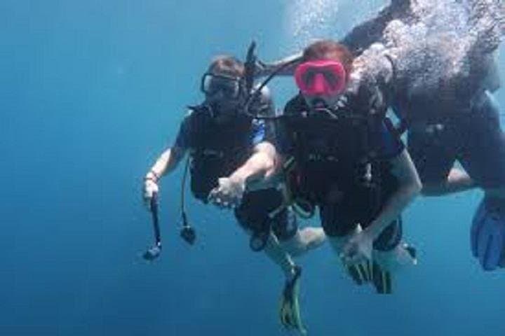 Port Ghalib Intro Scuba: Dugong & Turtle Dives From Marsa Alam