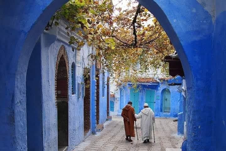 Blue Streets and Rif Views: Day Trip to Chefchaouen from Fez