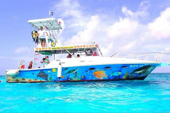 Cozumel Snorkeling: Palancar, Colombia & El Cielo Half-Day Reef Tour photo 3