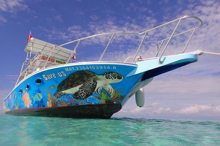 Cozumel Snorkeling: Palancar, Colombia & El Cielo Half-Day Reef Tour photo 4