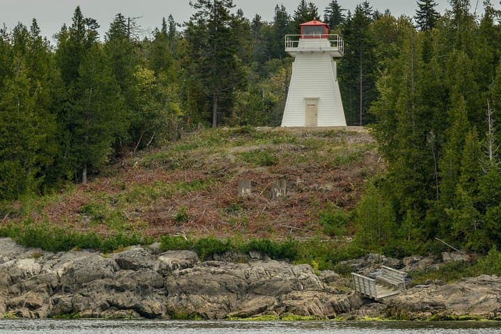 River Relics Kayaking Adventure on the Saint John River from Dominion Park photo 6