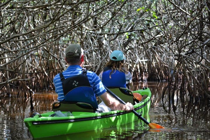 Paddling the Everglades: Guided Kayak Safari Through Mangrove Tunnels photo 2