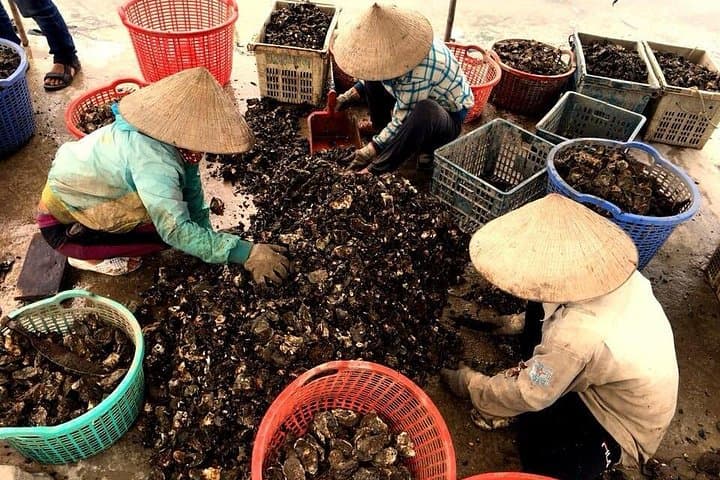 Hai Van Pass Scenic Day Tour from Hoi An — Marble Mountains, Lang Co & Coastal Views photo 4