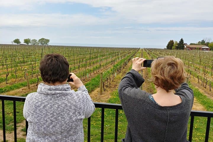 Private Toronto-to-Ontario Custom Tours: Niagara, Algonquin & Bruce Peninsula Chauffeur Service photo 3