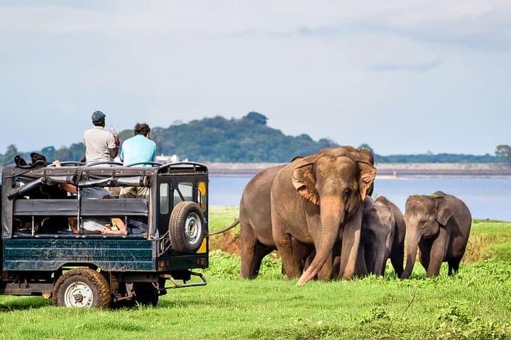 4-Day Family Tour: Sigiriya, Kandy & Nuwara Eliya — Sigiriya Lion Rock, Safari & Kelani River Rafting photo 6